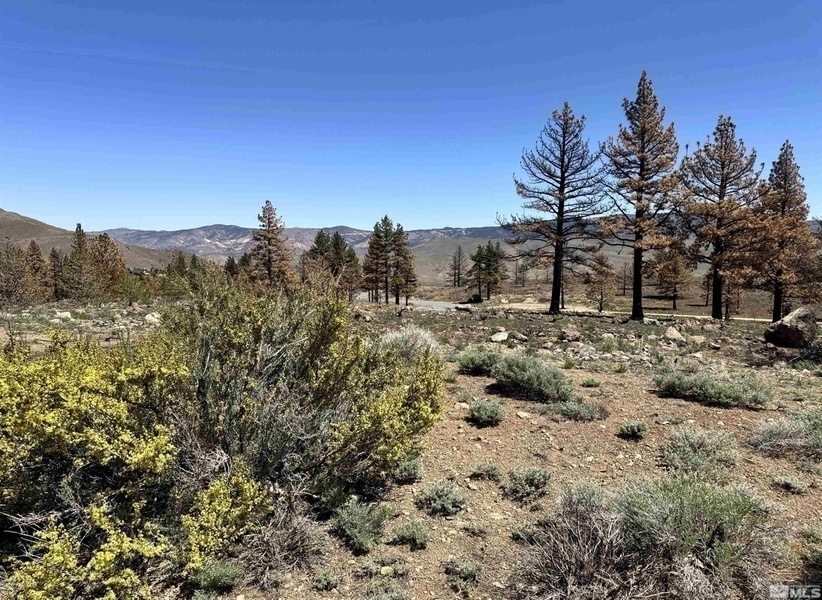 #XXXXhtmlcaption1819567