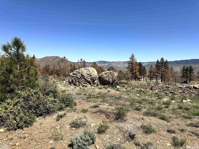 #XXXXhtmlcaption1819552