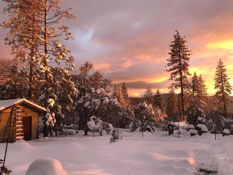 #XXXXhtmlcaption1821271