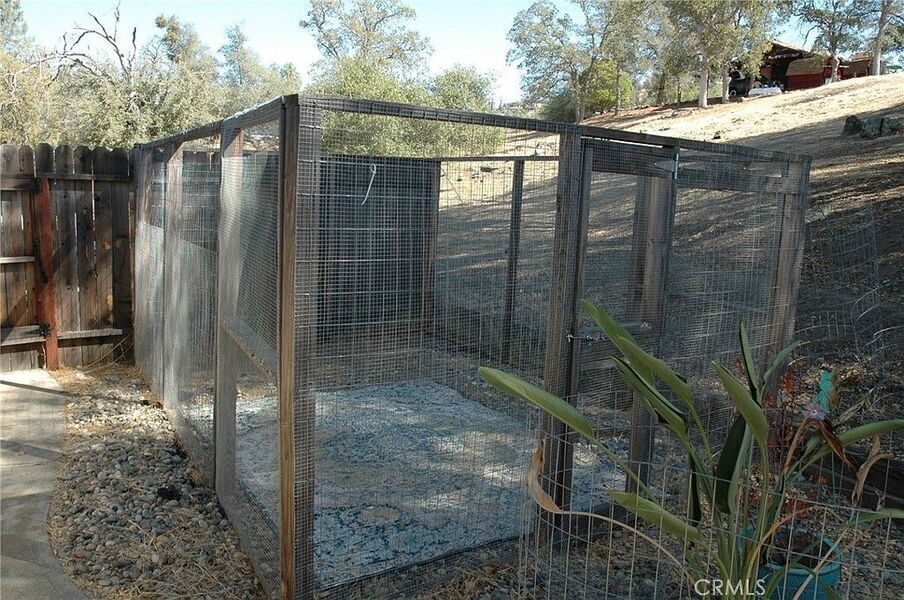 #XXXXhtmlcaption1823405