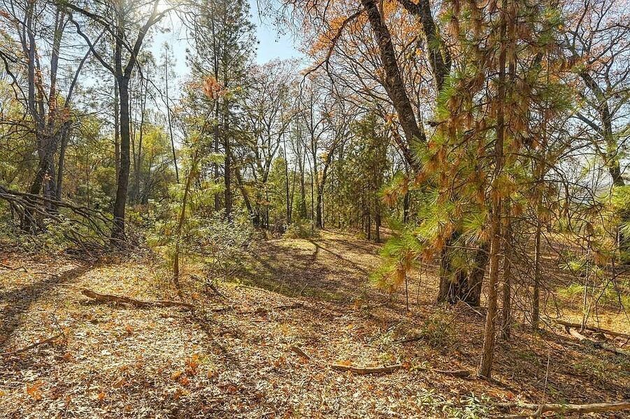 #XXXXhtmlcaption1845415