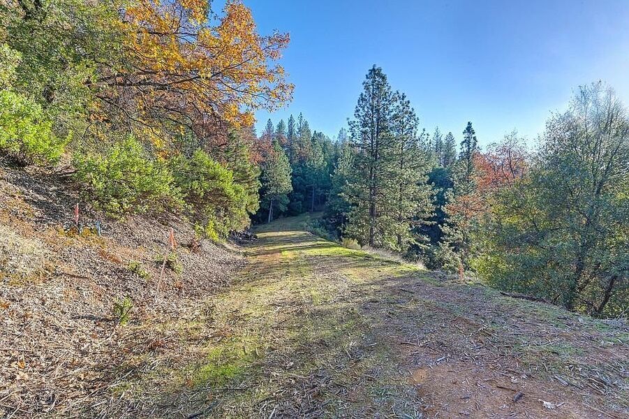 #XXXXhtmlcaption1845402