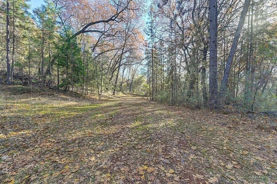 #XXXXhtmlcaption1845418