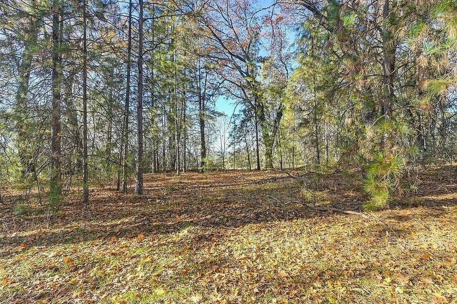 #XXXXhtmlcaption1845407