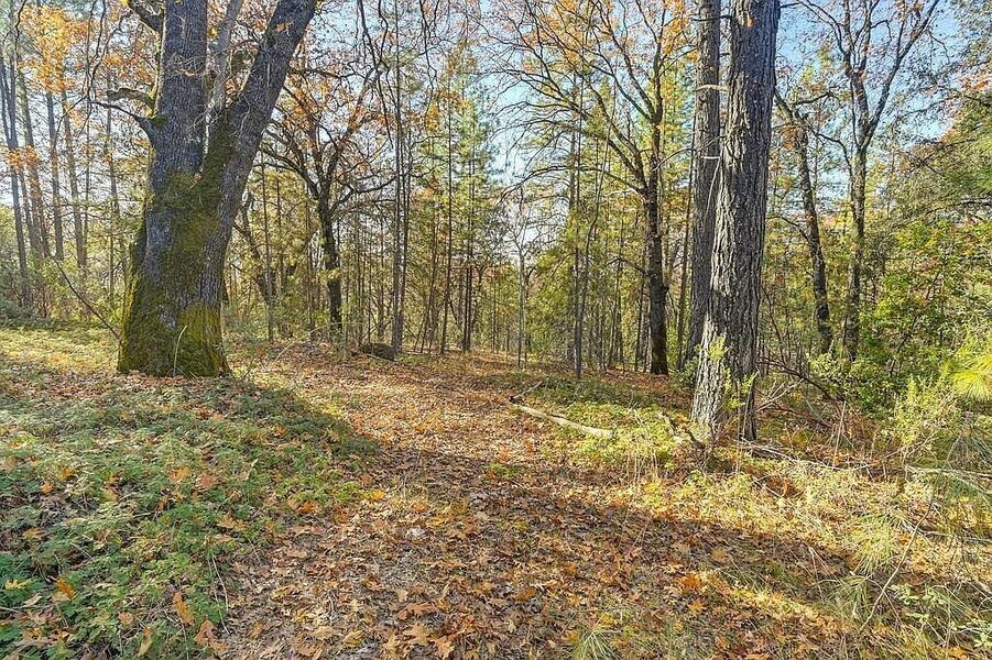 #XXXXhtmlcaption1845422