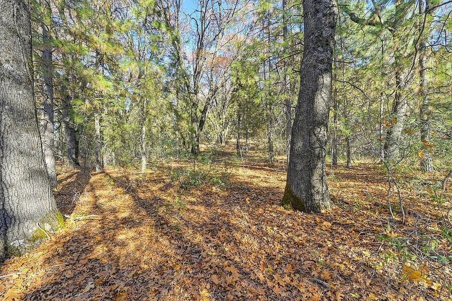 #XXXXhtmlcaption1845413