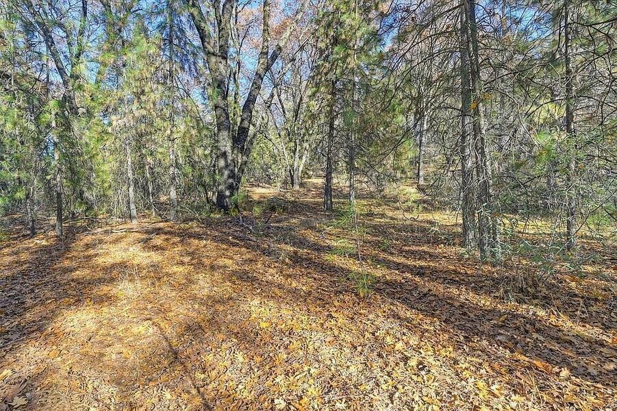 #XXXXhtmlcaption1845412