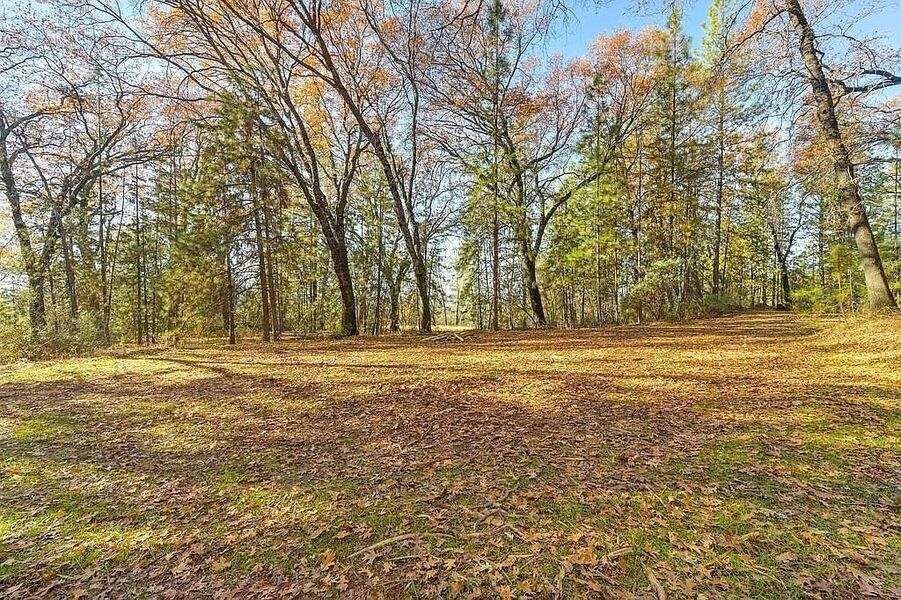 #XXXXhtmlcaption1845417