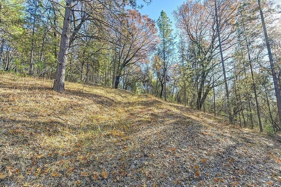 #XXXXhtmlcaption1845419