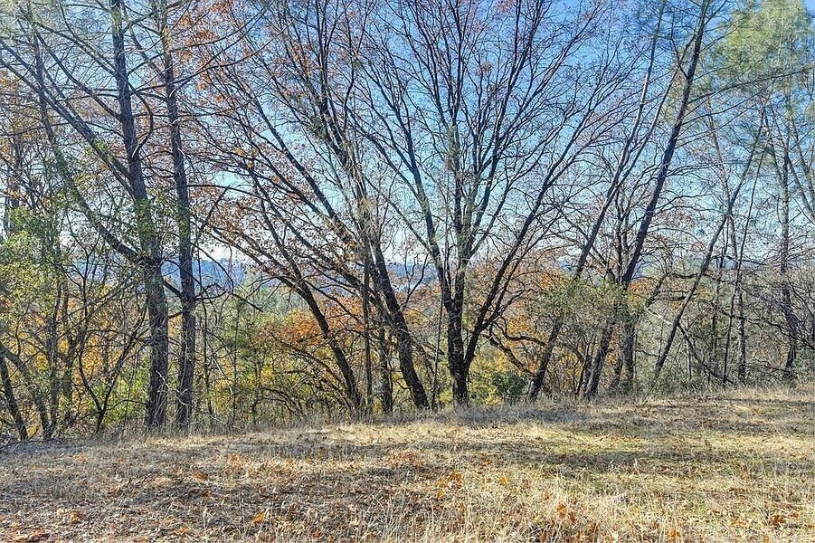 #XXXXhtmlcaption1845400