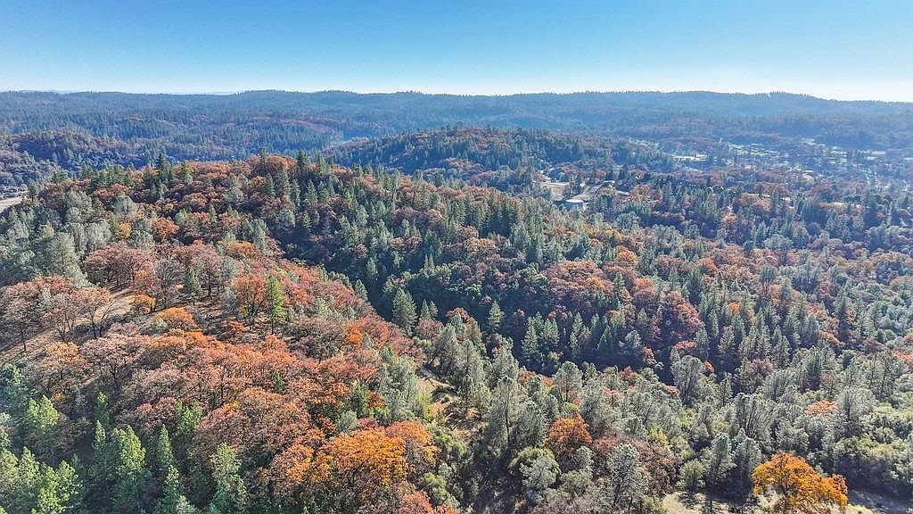 #XXXXhtmlcaption1845424