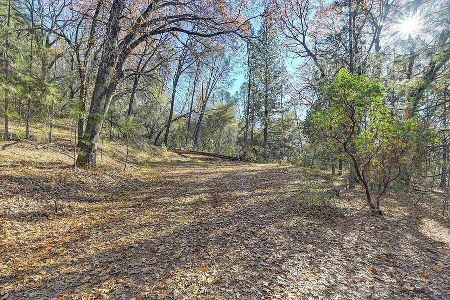 #XXXXhtmlcaption1845416