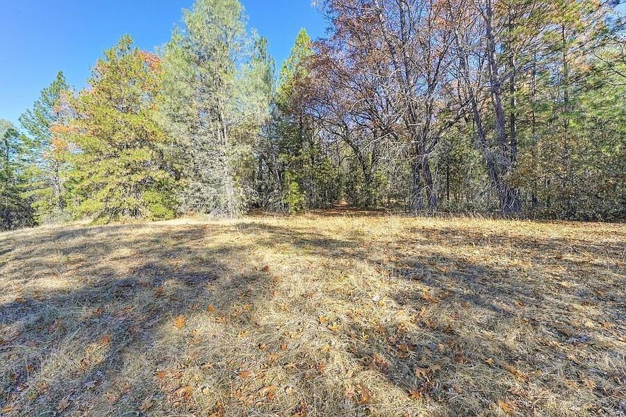 #XXXXhtmlcaption1845408