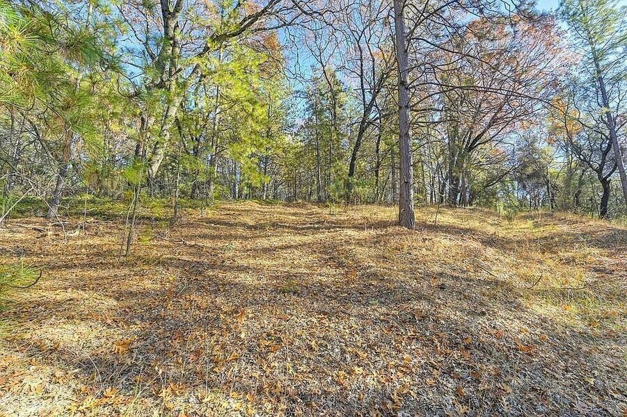 #XXXXhtmlcaption1845420