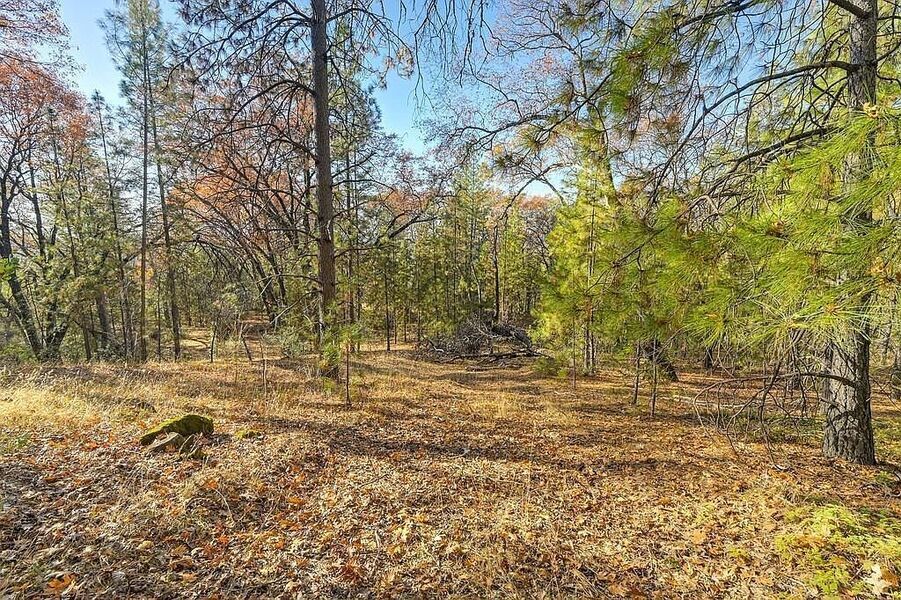 #XXXXhtmlcaption1845414