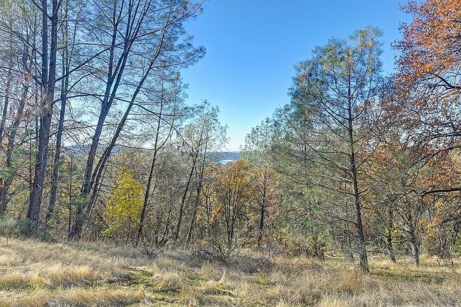 #XXXXhtmlcaption1845399