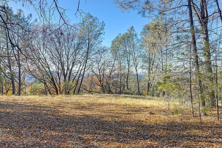 #XXXXhtmlcaption1845411