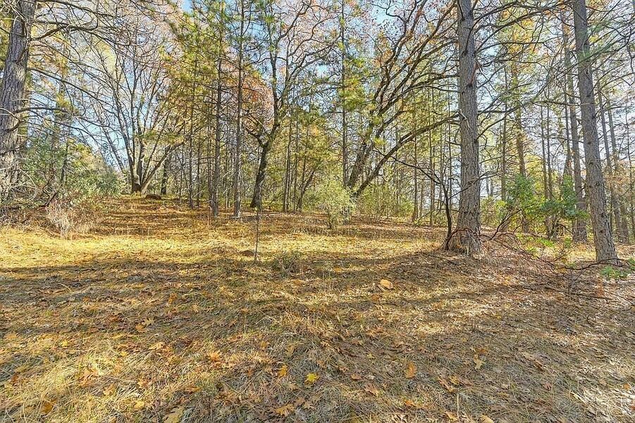 #XXXXhtmlcaption1845423