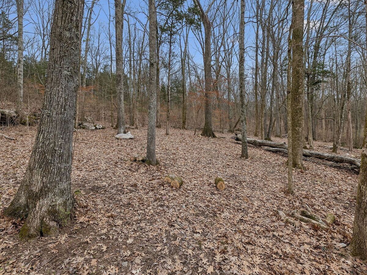 #XXXXhtmlcaption1880532