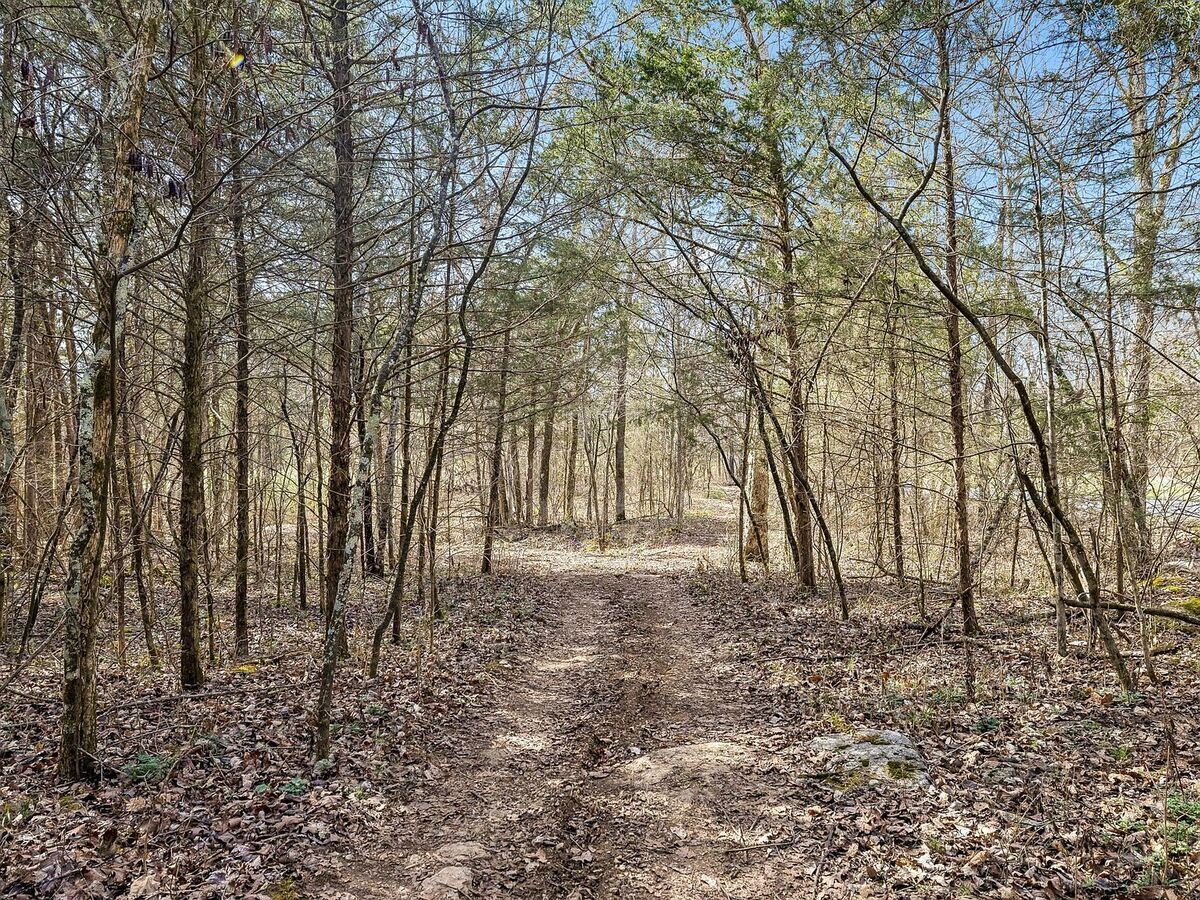 #XXXXhtmlcaption1880613