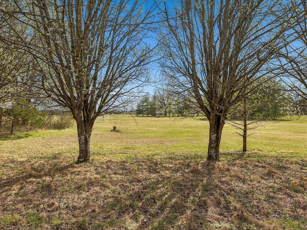 #XXXXhtmlcaption1880619