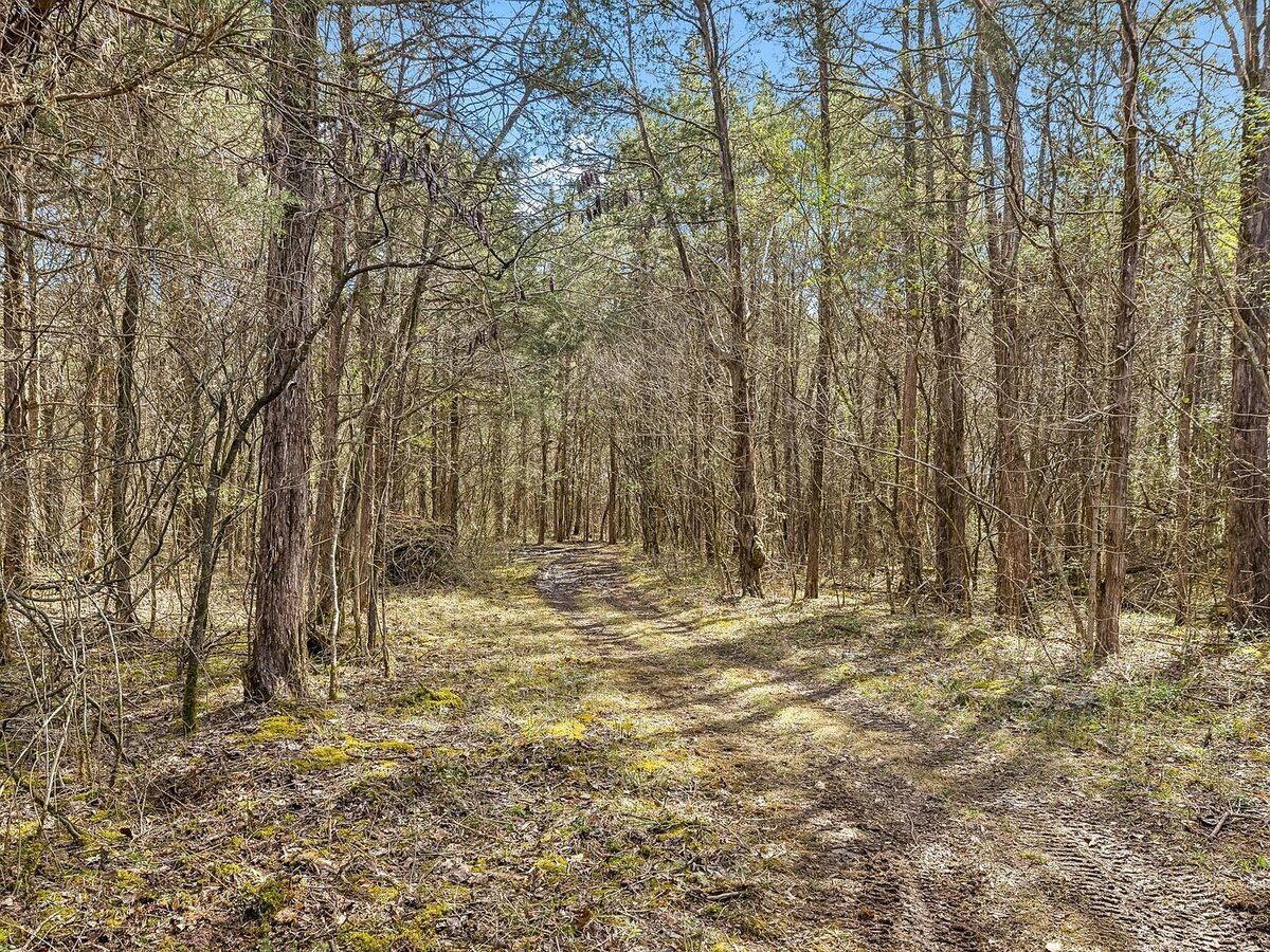 #XXXXhtmlcaption1880612