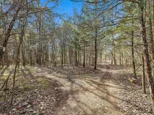 photo 1 of 7 Paschal Rd, Unionville, TN 37180