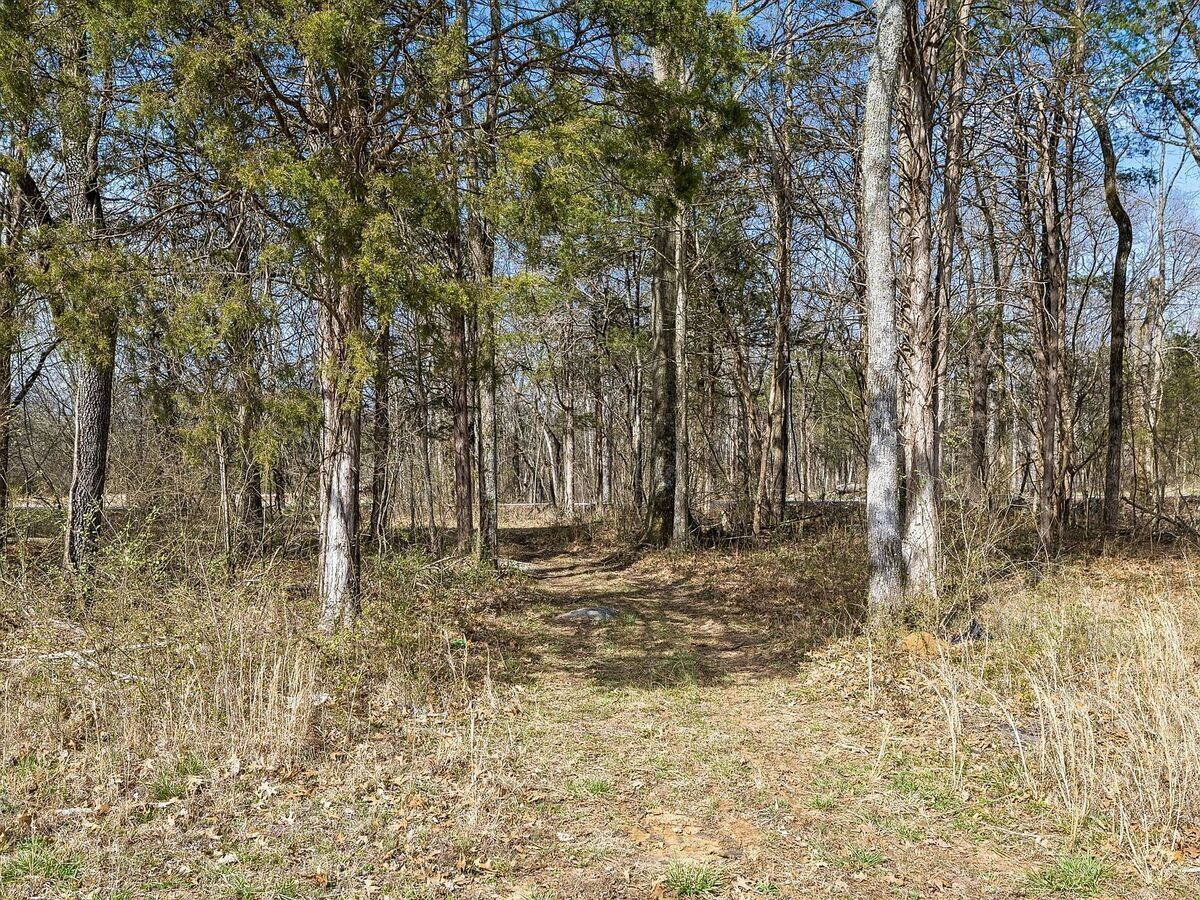 #XXXXhtmlcaption1880620