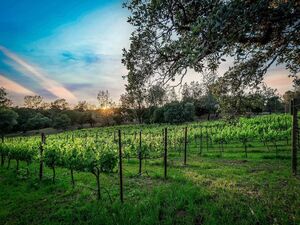 photo 1 of 5080 Gold Hill Rd, Placerville, CA 95667