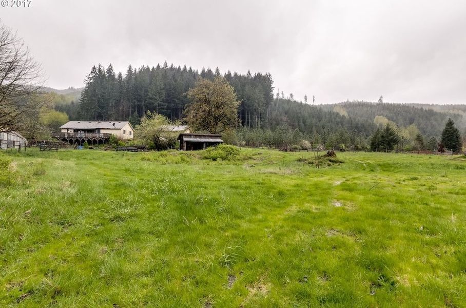 40365 Brice Creek Rd, Dorena, OR 97434 MondoFlyers real estate flyer